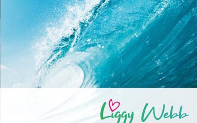 An Introduction to Behavioural Agility