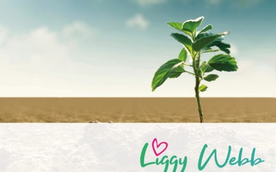 An Introduction to Resilience